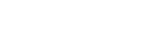 registrierung-beruflich-pflegender-white logo