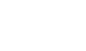 IPV Verband Logo weiß